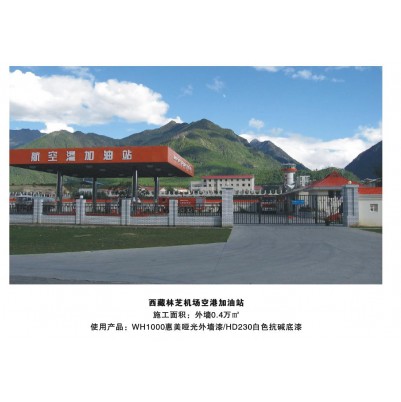 西藏林芝机场空港加油站