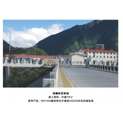 西藏林芝机场